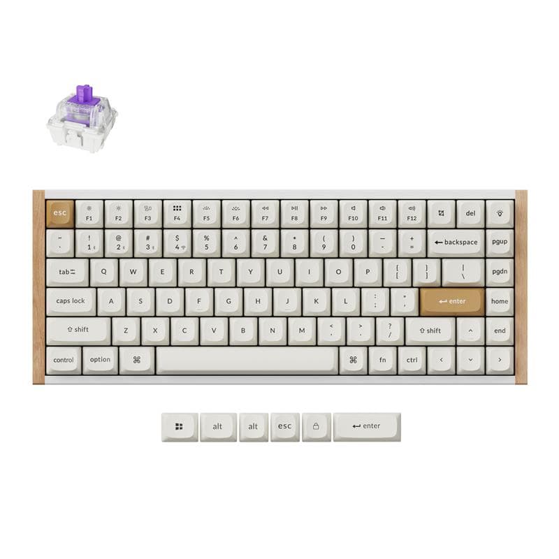 Keychron K2 HE 75% Keyboard Magnetic switches