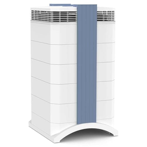 IQAir GC MultiGas XE Air Purifier – Smart MultiGas Filtration for Rooms up to 1125 sq ft - Chemicals, Odors, VOCs, and Particles, Swiss Made, WiFi Enabled