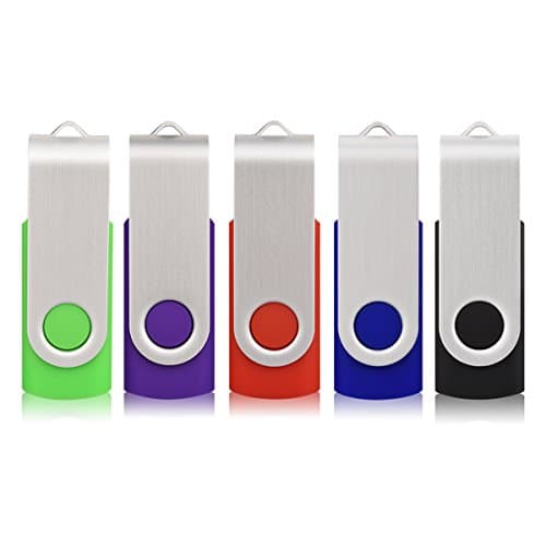 RAOYI 5 Pack 64GB USB Flash Drive USB 2.0 Memory Stick Swivel USB Stick 64G USB Drive Metal Cap Thumb Drive with LED Light USB Key for Data Storage (5 Mixed Colors: Black Red Blue Green Purple)