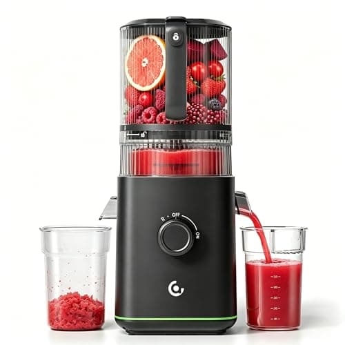 Cold Press Juicer, 6.5" Large Wide Feed Chute for Whole Fruits & Vegetables, Juicer Machine with Triple Filtration, 99% Juice Yield, 3-in-1 for Juice, Nut Milk & Sorbet
