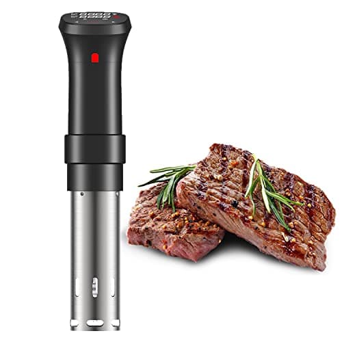 Fityou Accu Slim Sous Vide Thermal Immersion Circulator (15 x 11 x 4.1 Centimetres)