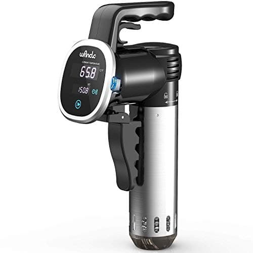 Sous Vide Cooker, Wancle Thermal Immersion Circulator, Accurate Temperature Digital Timer, Ultra-quiet, 850 Watts, 120V, Stainless Steel/Black
