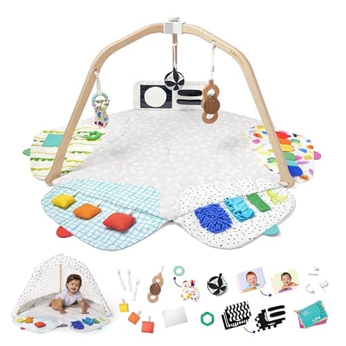 The Play Gym by Lovevery