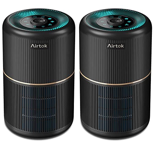 2Pack Air Purifier for Home Bedroom with H13 True HEPA Filter for Smoke, Smokers, Dust, Odors, Pollen, Pet Dander | Quiet 99.9% Removal to 0.1 Microns | Black