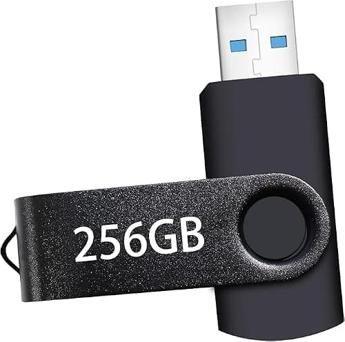 USB Flash Drive 256GB, Portable Thumb Drive: Memory Stick, Large Capacity USB Drive with Keychain, High-Speed USB 2.0 Data Storage Flash Drive for PC/Laptop