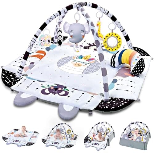 TFDER Baby Gym Play Mat, 5-in-1 Tummy Time Mat & Activity Gym, Washable Ball Pit, Infant Play Mat with Detachable Toys for Sensory Exploration and Motor Skill Development