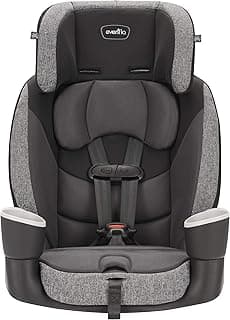 Evenflo Maestro Sport Harness Booster Car Seat (Aspen Skies Gray)