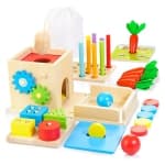 NIERBO Educational Montessori Toys for 1 2 Year Old, Include Object Permanence Box, Magnetic Worm Game, Carrot Harvest Toy, Coin Drop Toy, Developmental Montessori Toys for Babies
