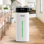 Humidifier Large Room 20L- Cool and Warm Mist Humidifiers for Home 2000 sq ft. Air Humidifiers for Bedroom with Diffuser&Extended Tube, Whole House Humidifiers for Nursery Plants