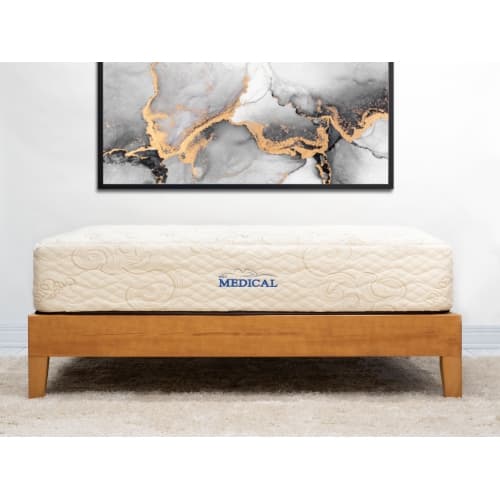 NSC Medical HAS - Hybrid Articulating System Queen Mattress