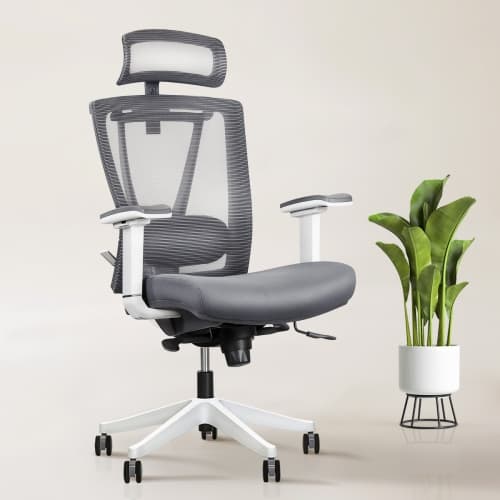 ErgoChair Executive Home Office Desk Chair with Lumbar Support 4D Armrest Adjustable Task Chair - White