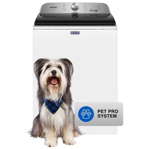 Maytag Pet Pro 5.4 Cu. Ft. (IEC) Top Load Washer with Pet Pro and Turbo/Speed Wash (MVW6500MW) - White