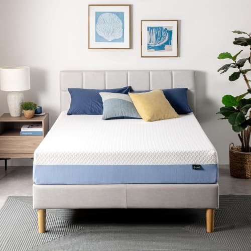 Zinus Queen Mattress - 10 Inch Green Tea Essential Foam Mattress, Pressure Relief for Cool Sleep, CertiPUR-US Certified Foam, Mattress in a Box, 10-Year Warranty, Queen Size
