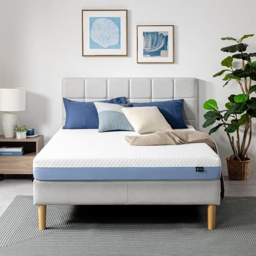 Zinus Queen Mattress, 6 Inch Cooling Essential Foam Mattress, Affordable Mattress, Mattress in a Box, CertiPUR-US Certified with Pressure Relief & Cool Sleep, Queen