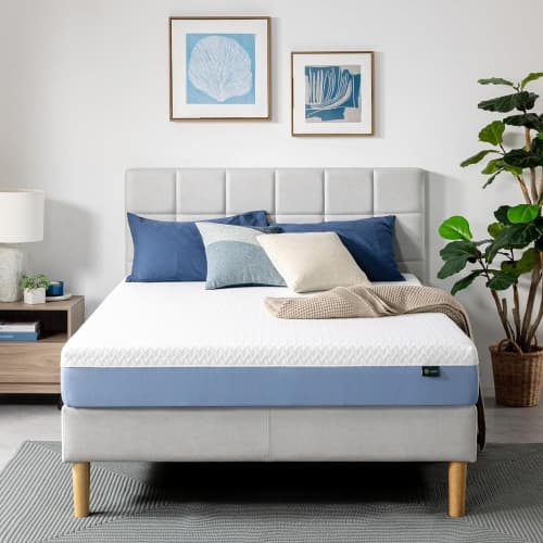 Zinus Queen Mattress - 8 Inch Green Tea Essential Foam Mattress, Pressure Relief for Cool Sleep, CertiPUR-US Certified Foam, Mattress in a Box, 10-Year Warranty, Queen Size