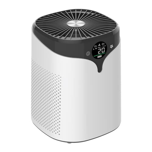 PM2.5 air purifier, used to remove formaldehyde, odor, second-hand smoke, home negative ion air purifier (basic version)