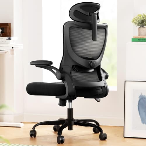 HUANUO Ergonomic High Back Office Chair with Adjustable Lumbar Support, Headrest, Flip-Up Armrests, Mesh Back, Supportive Cushion Perfect for Home & Executive Office