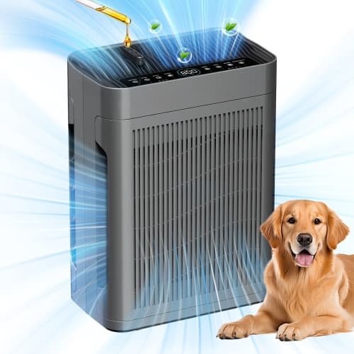 GlowWise Air Purifiers for Home Large Room Up to 3000 Sq Ft with Washable Filters, H13 HEPA, Dual-Sided Air Intake, PM2.5 Sensor, 22dB Quiet Air Cleaner for Bedroom, Pets, Dust, Sm