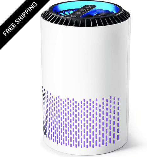 Air Purifiers for Bedroom Home, H13 True HEPA Filter Cleaner with Fragrance Sponge Covers up to 386 Sq Ft, for 99.97% Smoke, Dust, Odors, Pollen, Pet Dander, Office and Small Room