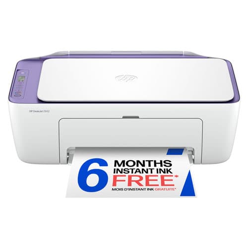 HP DeskJet 2942 Wireless All-In-One Inkjet Printer - Violet Tulip
