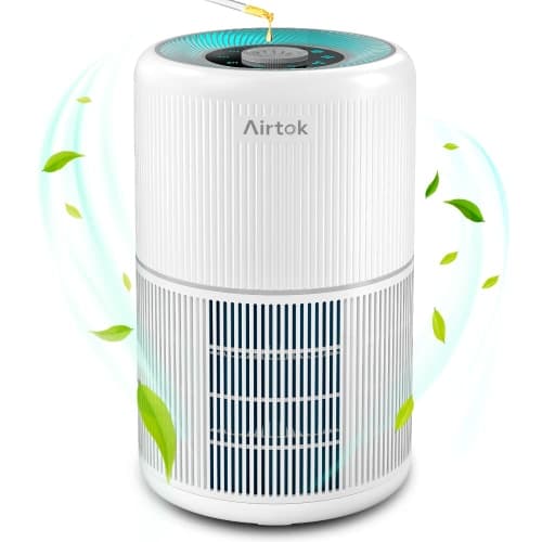 Air Purifiers Large Room with Fragrance Sponge, H13 True HEPA Air Filter for Smoke, Dust, Odors, Pollen, Pet Dander 99.97% Removal