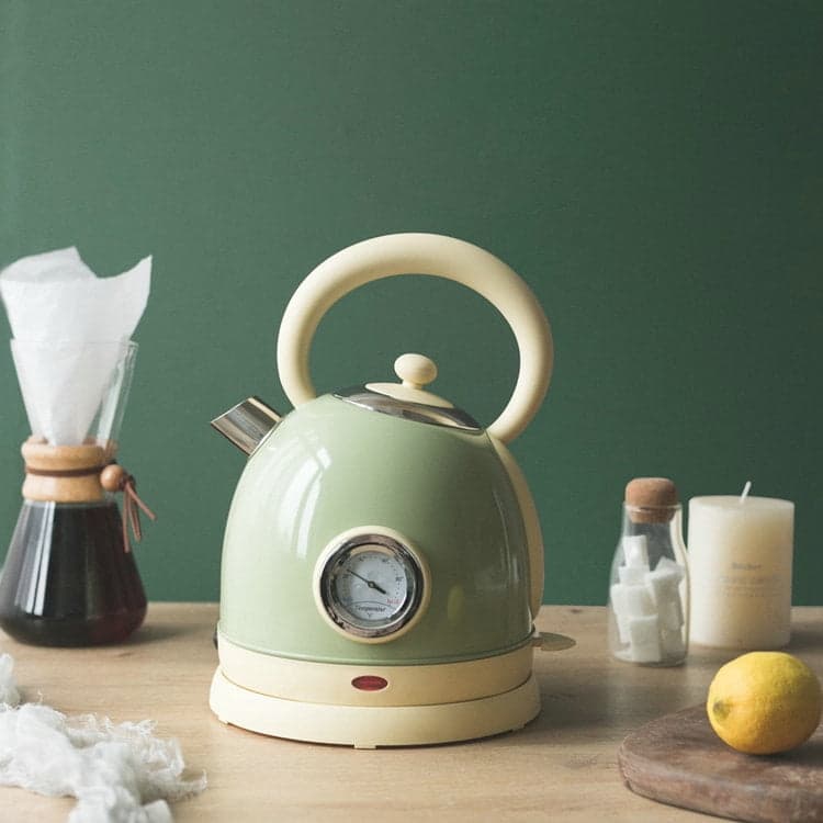 QUETO Paint painted retro electric kettle electric tea boiling kettle 304 stainless steel household electric kettle, green