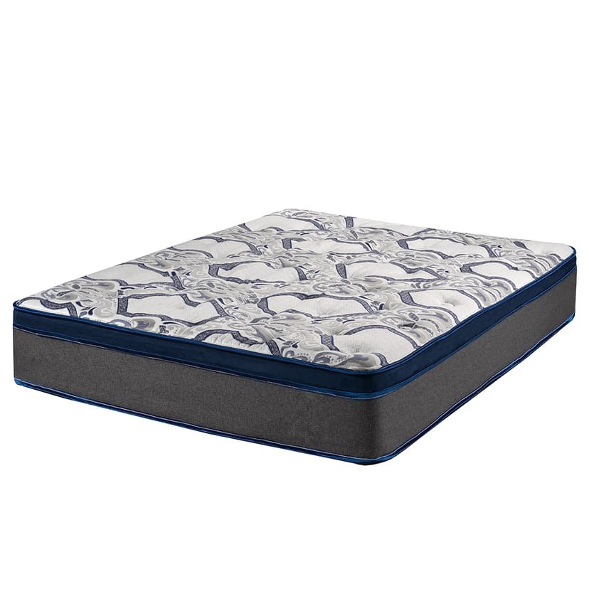Queen Snooze eurotop mattress