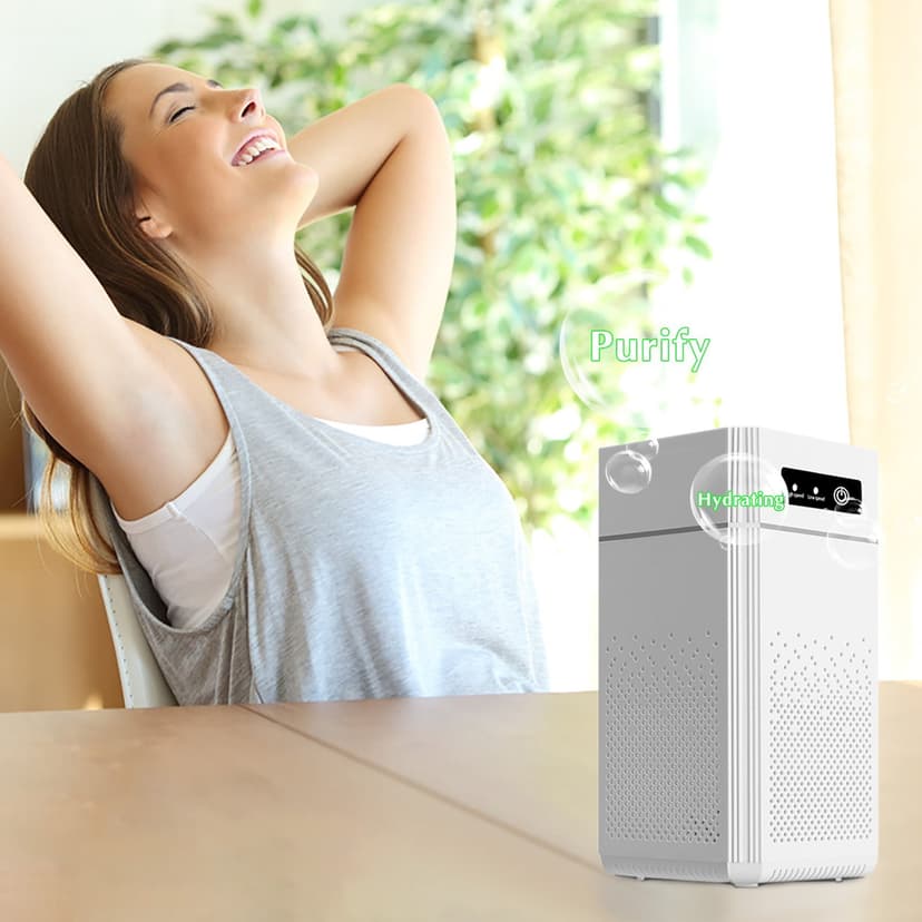 Suncoda Air Purifier, Indoor Removal Purifier, Portable Negative Household Multifunctional Desktop