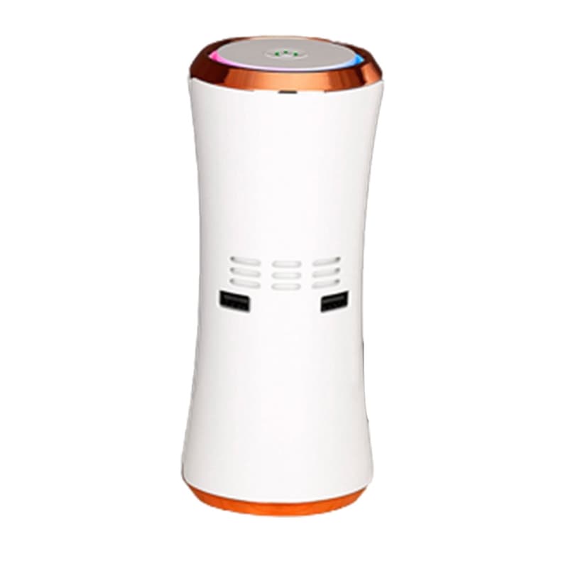 Brooches and Pins Home Purifier, True Filter For Rooms Up , Wildfire Smoke, Allergens, Pet Allergies,, Auto Mode, Silent