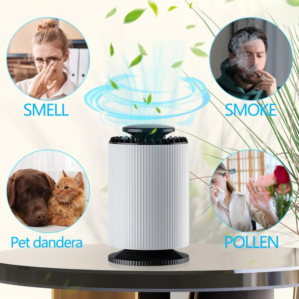 Feltree Bedroom Air Purifier with HEPA Filter Sleep Mode Under 24dB, Pet Dander Allergies Odor Eliminator for Room 41-60 sq ft Coverage, Portable USB White Purification System