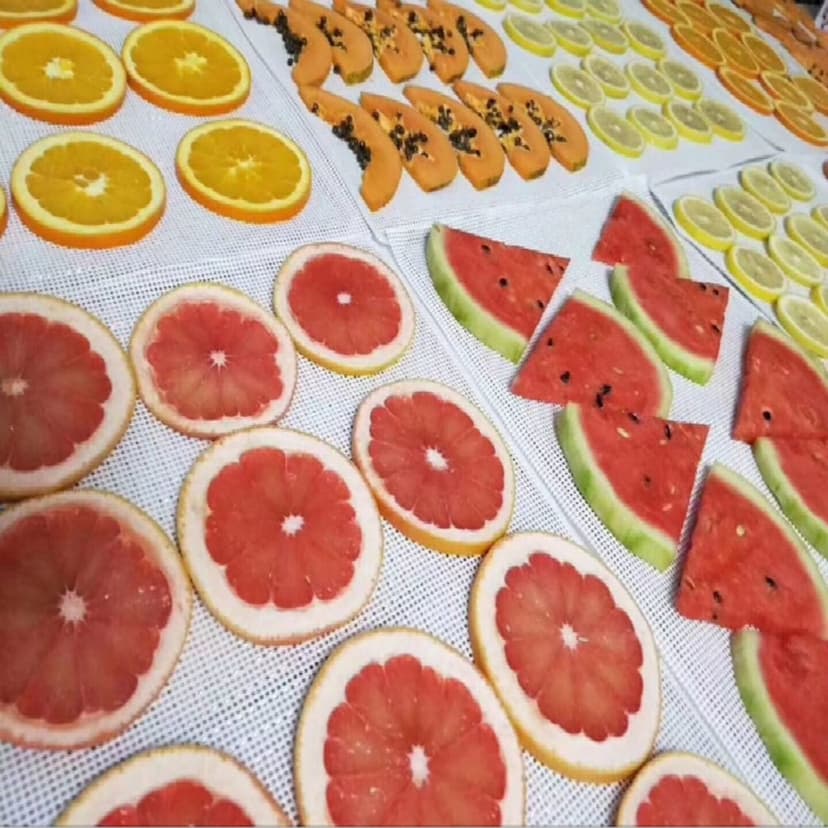 Kitchen Non Stick Silicone Dehydrator Sheets For Fruit Reusable Food Dehydrator Sheets Dryer Mesh