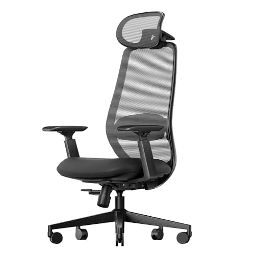 ProtoArc Ergonomic Office Chair – EC200 High-Back Mesh Computer Chair with Lumbar Support, Adjustable Seat Depth & 3D Headrest Ergo Desk Chairs for Work from Home, 8+ Hours Comfort - Black