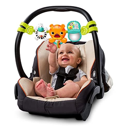 Bright Starts 9005 Take Along Carrier Toy Bar
