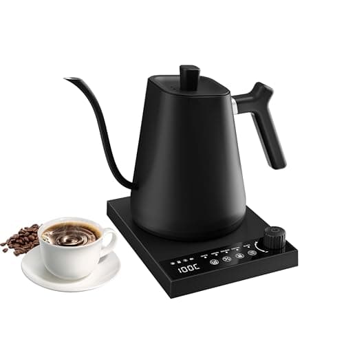 VAMBRIZO Electric Gooseneck Kettle, 600ml Pour Over Coffee Kettle with Temperature Control, 1000W Fast Boil, 5 Preset Temperatures for Coffee & Tea, 304 Stainless Steel, Auto Shut-Off Black