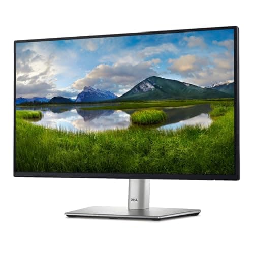 Dell 24 Monitor - P2422H - Full HD 1080p, IPS Technology, Comfortview Plus Technology (Renewed) Black