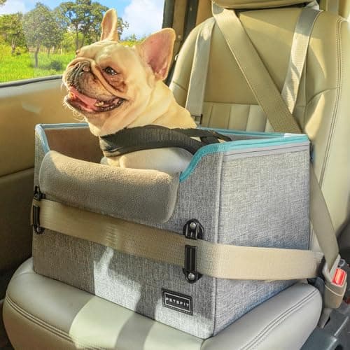 PETSFIT Dog Car Seats for Small Dogs, Patent Safe Buckles Dog Booster Car Seat, Cat Car Seat with Safety Belt, Suitable for Small Pets Up to 25lbs (Grey)