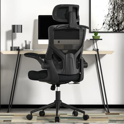 Ergonomic Office Chair, High Back Mesh Desk Chair with Thick Molded Foam Cushion, Coat Hanger, Adjustable Headrest, Lumbar Support, Tilt & Lock Function - Computer Chair (Matte Black)