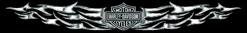 Harley-Davidson Windshield Sunscreenz