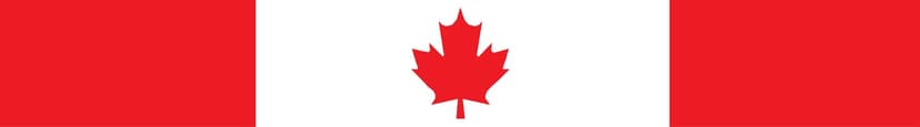 Chroma Canadian Flag Windshield Decal, 23.6 x 4.7-in