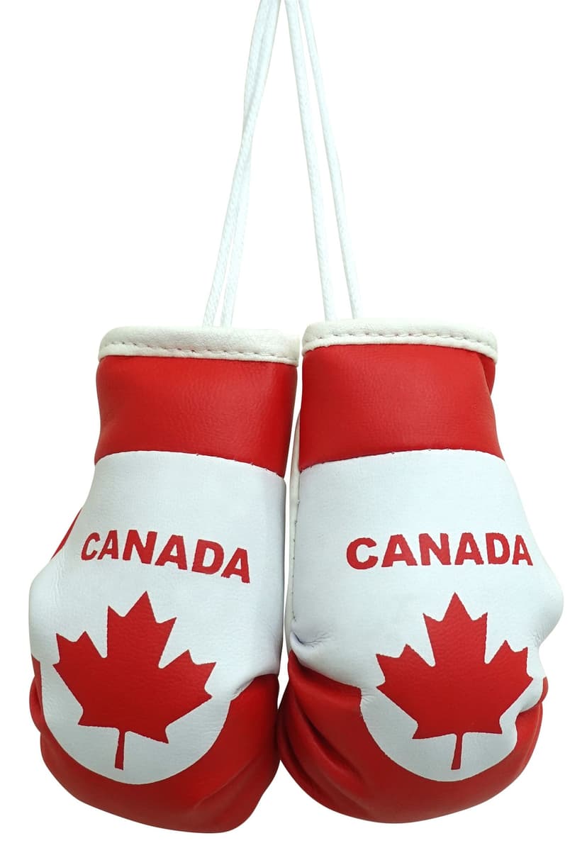 AutoTrends Mini Canada Boxing Gloves, Universal Fit