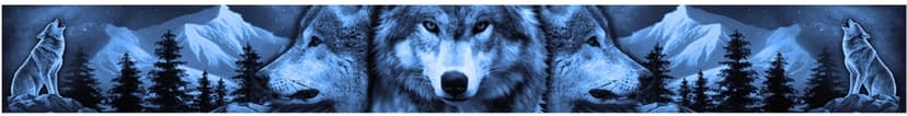 Night Wolf Visor Decal