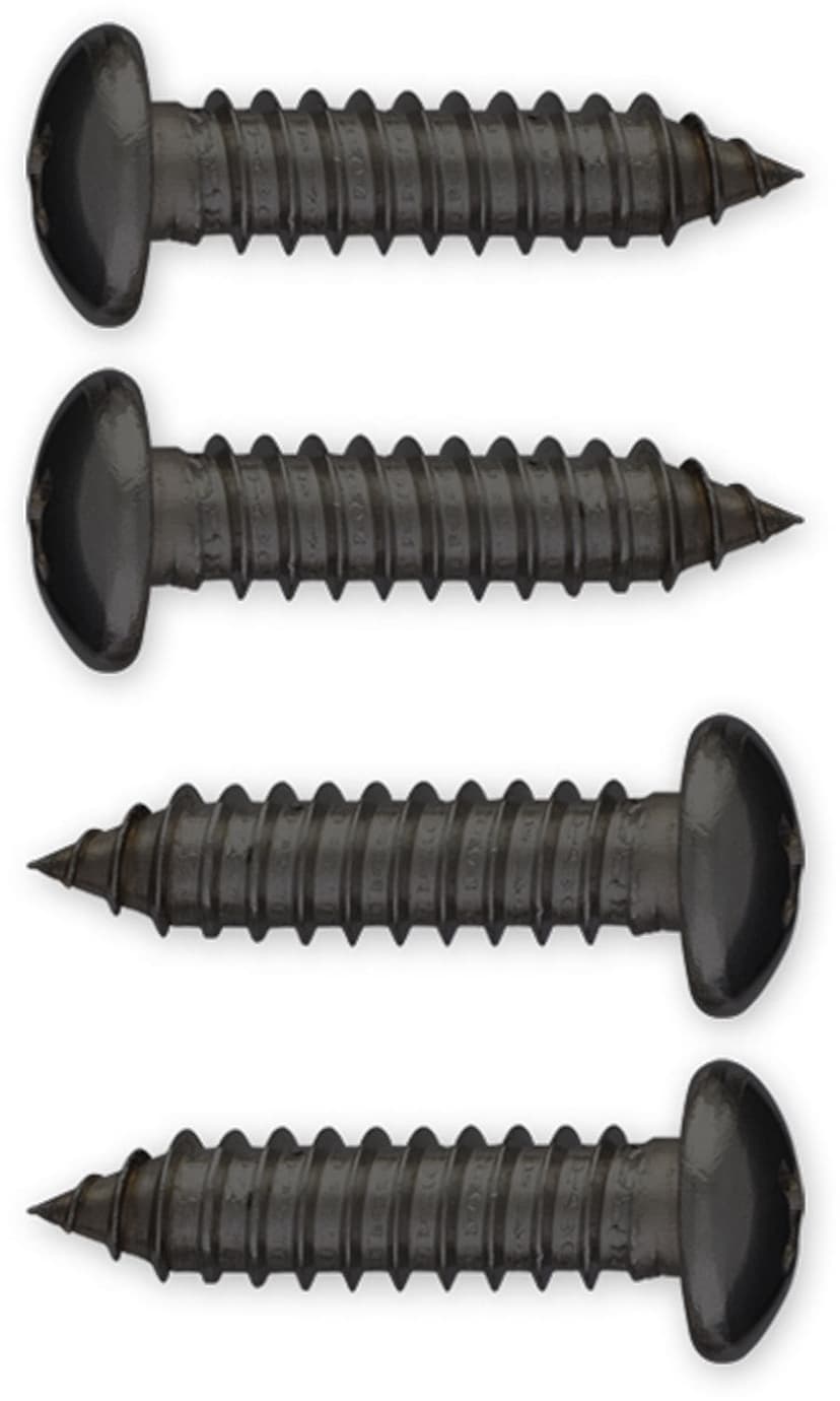 AutoTrends Self-Tapping License Plate Fasteners, Black
