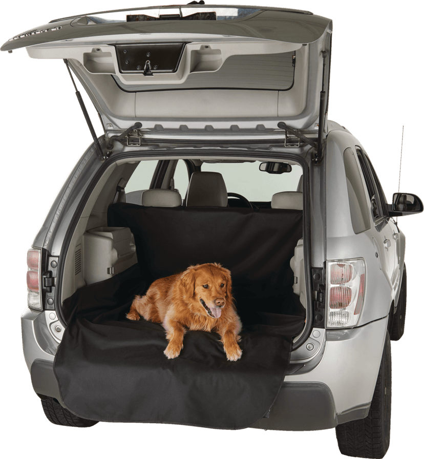 AutoTrends Waterproof Trunk Cargo Liner Pet Protector, Black