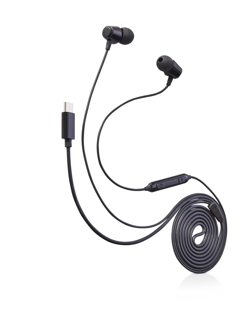 Bluehive Type-C Wired Earbuds with Hands-Free Calling, Black