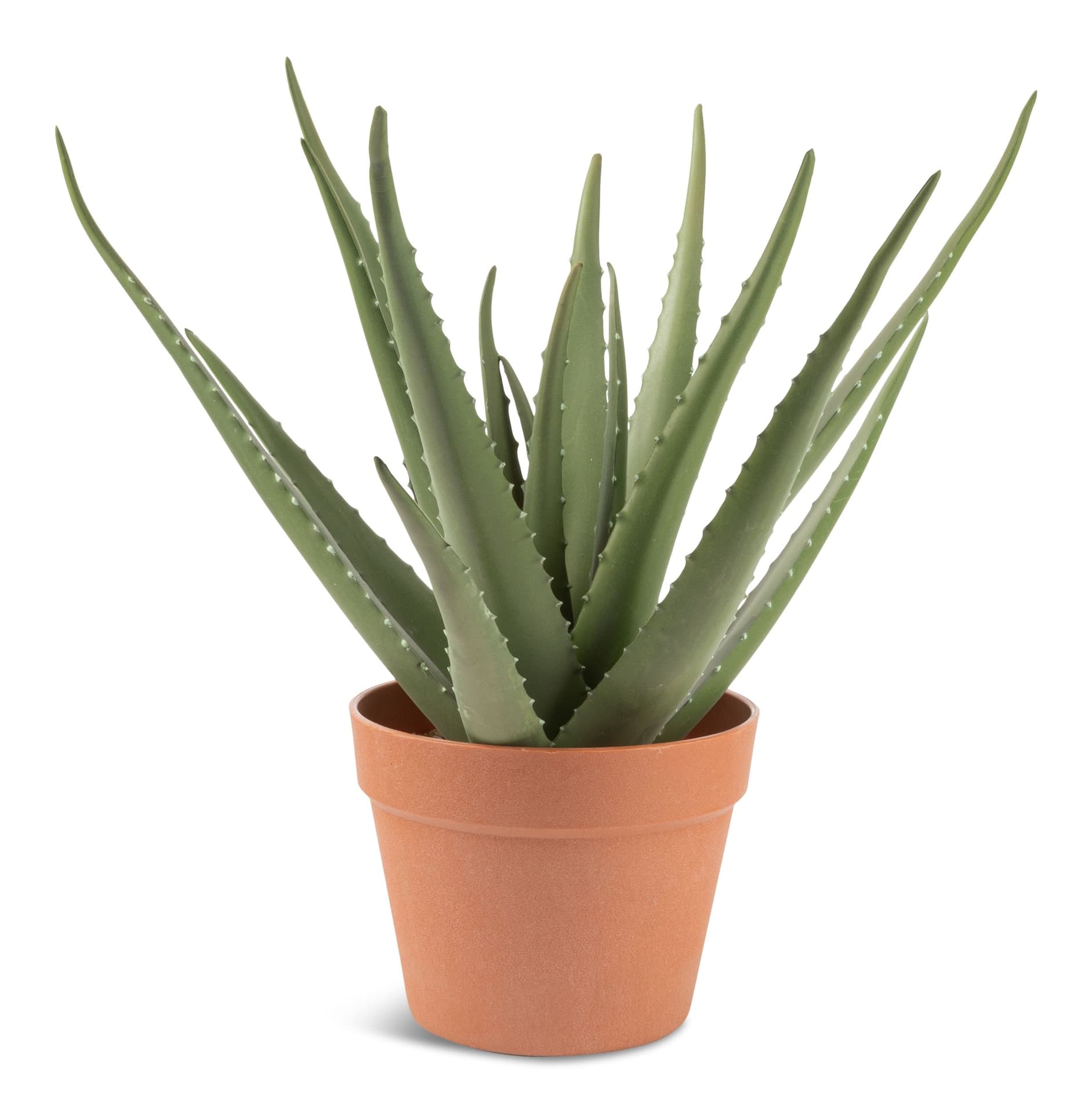 Naturae Décor Artificial Indoor Aloe Vera Plant in Terra Cotta Pot, 17-in