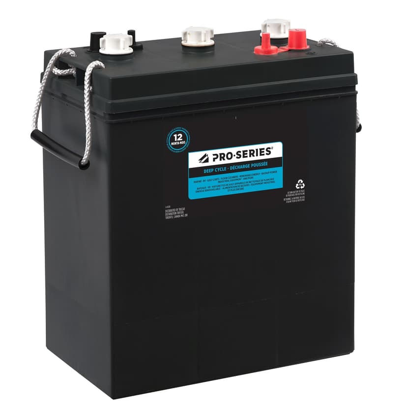 Pro-Series Commercial Group Size 902 6-Volt Deep Cycle Battery