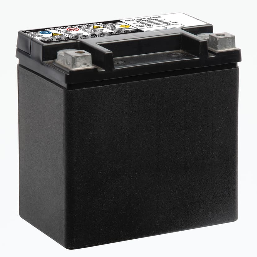MOTOMASTER AGM Group Size 400 Auxiliary Battery, 200 CCA