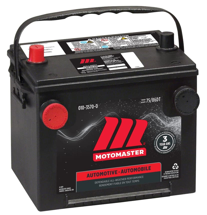 MOTOMASTER Group Size 75/86DT Battery, 650 CCA