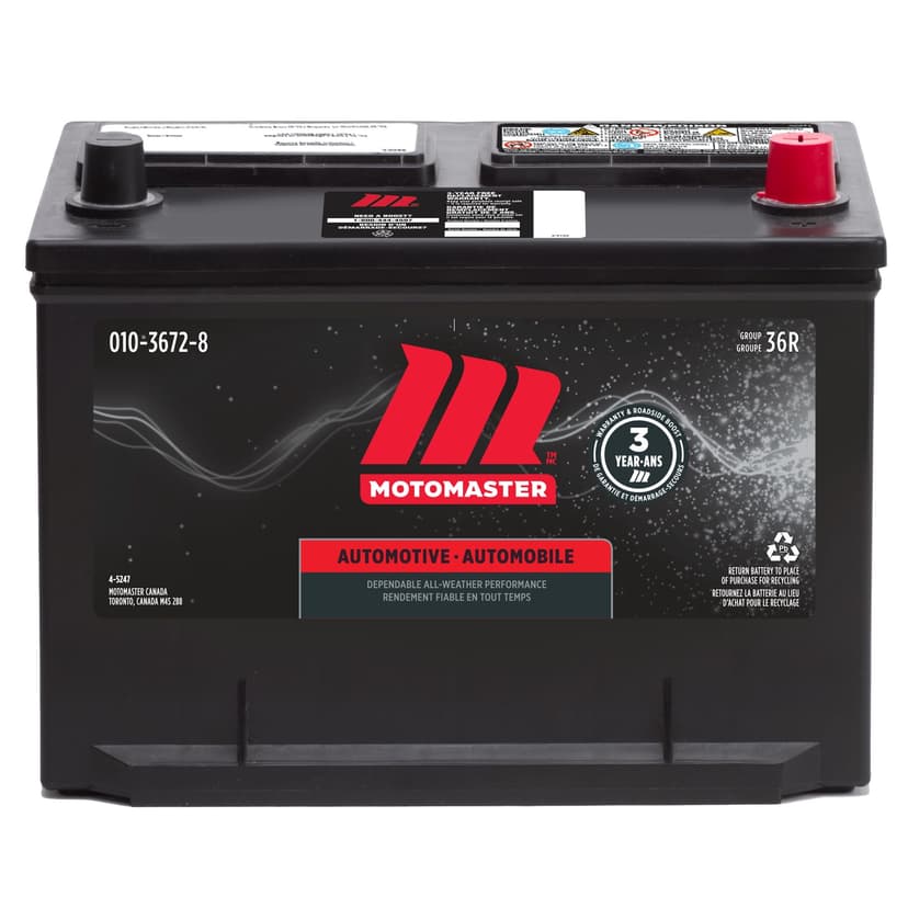 MOTOMASTER Group Size 36R Battery, 650 CCA