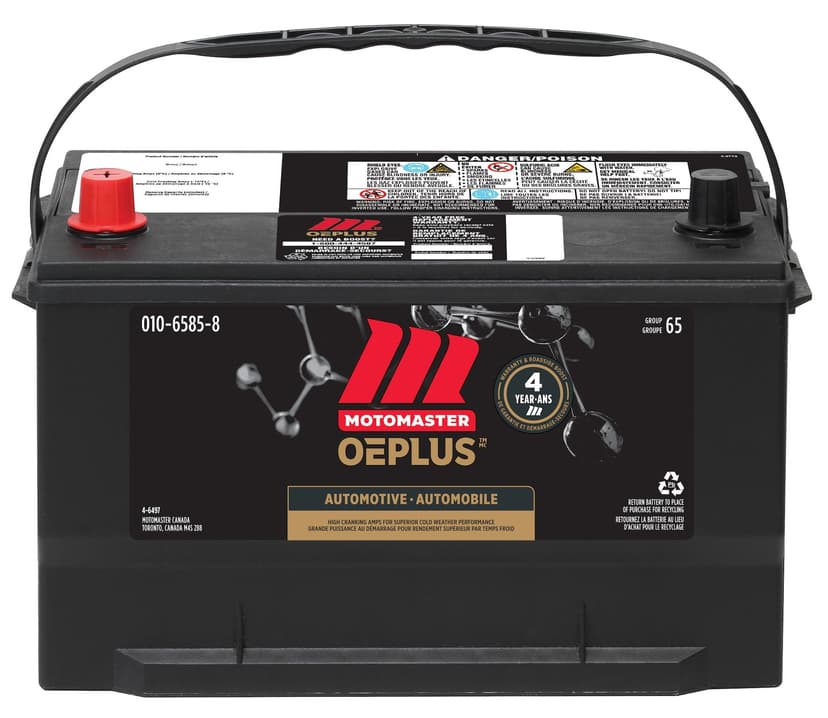 MOTOMASTER OEPLUS Group Size 65 Battery, 750 CCA